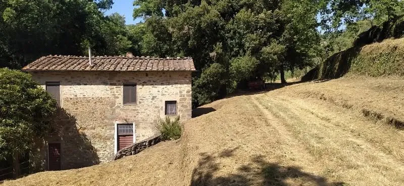 Montecatini Terme melletti ingatlan